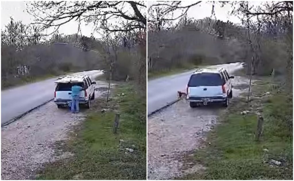 Hombre abandona a su perro en plena carretera y desata críticas en ...