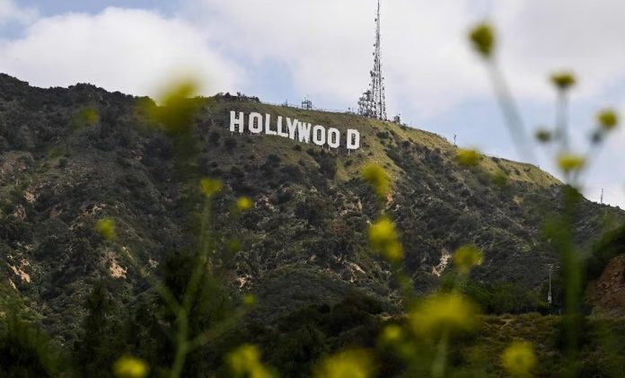 Y HOLLYWOOD