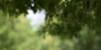 Maestra de francés de la UT Nuevo Laredo gana beca capacitarse en Francia