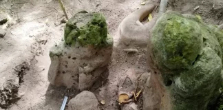 Ciudad maya milenaria es descubierta en zona selvática de Guatemala