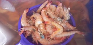 Mujer come mariscos y ahora es caso sospechoso de cólera