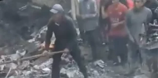 Se desploma avioneta en Chiapas, llevaba moscas para combatir al gusano barrenador