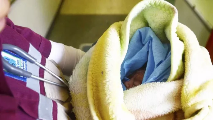 abandonan-bebe-guanajuato-095146-1024x576