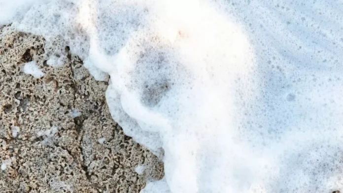 espuma-hidalgo-100522-1024x576