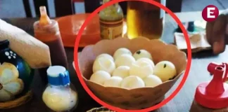 ¡Presume comer huevos de tortuga! Era funcionario de Medio Ambiente de Oaxaca