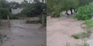 Se desborda arroyo sobre la carretera México-Laredo
