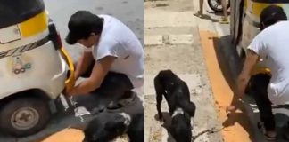 Detienen a mototaxista que arrastró cruelmente a perrita por calles de Playa del Carmen | VIDEO