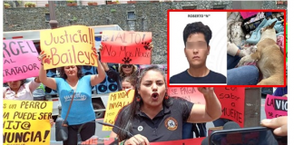 Hombre que mató a golpes a lomito Baileys sale libre tras pagar cuatro bultos de alimento