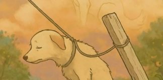 Cuelgan y matan a perrito a palazos en Michoacán; los 2 agresores ya fueron identificados