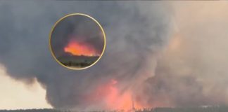 VIDEO: Captan enorme tornado de fuego