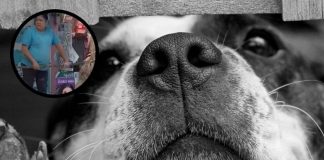 Piden justicia por perrito cruelmente asesinado por propietarios de tortillería en Texcoco