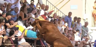 VIDEO: Toro salta a las gradas en un festejo taurino; deja dos heridos graves