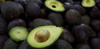 México firma Plan de Trabajo Operativo con Brasil; se consolida como el principal productor de aguacate del mundo
