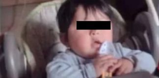 Encuentran muerto a Valentino, niño de 2 años que desapareció jugando con sus hermanos; fue devorado por perros pitbull
