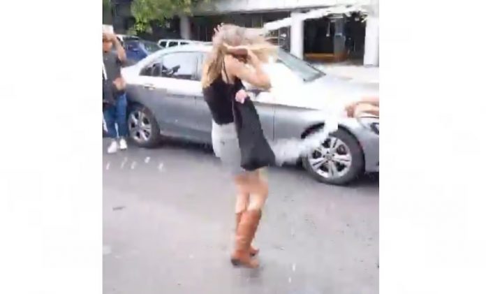 Y LADY