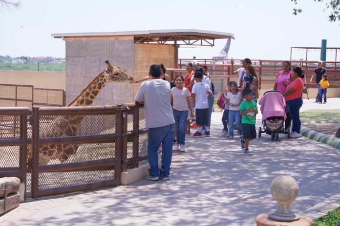 ZOO
