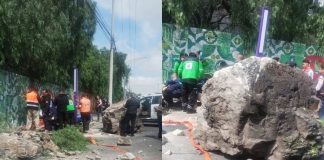 Cae Enorme Roca a Metros de la Basílica de Guadalupe; Adulto Mayor Muere