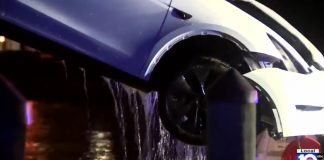 Conductor estrella una Tesla en canal de Sunny Isles Beach; pareja rescatada por un buen samaritano