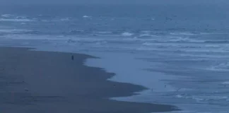 Olas de tsunami tocan la costa oeste de EE. UU. tras terremoto en Rusia