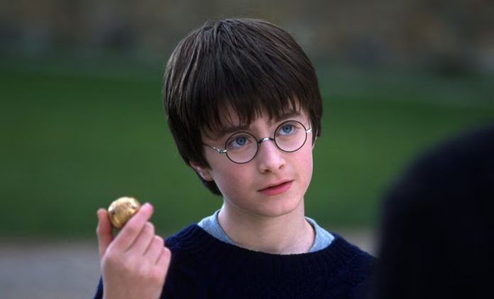 Y POTTER