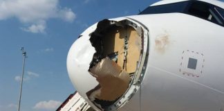 VIDEO: ¡Qué susto! Ave se estrella contra avión y lo obliga a regresar a aeropuerto