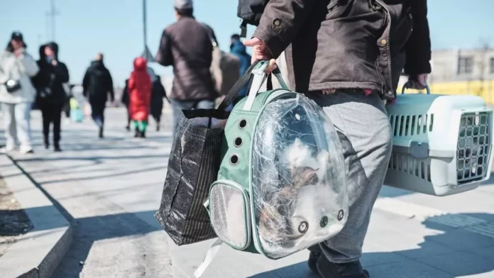 migrantes-mascotas-115052-1024x576