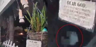 ‘Mamá, es un extraterrestre’ Mujer capta inquietante figura alienígena en su jardín