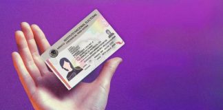 INE aprueba nuevo modelo de credencial para votar para 2026; estos son los cambios que se le harán