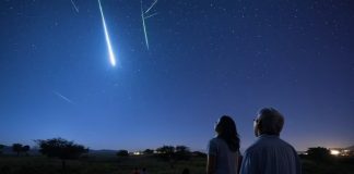 Lluvia de estrellas Perseidas 2025; descubre las 4 claves para disfrutar de este espectáculo astronómico