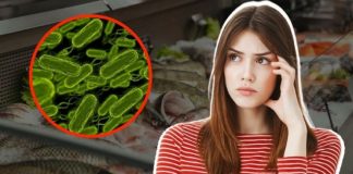 Alerta por bacteria carnívora en mariscos por aumento de muertes y contagios