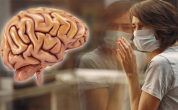 Pandemia de COVID-19 envejeció los cerebros de las personas más rápido, incluso de quienes no se infectaron