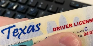 Texas estrena licencia de conducir con seguridad reforzada; esto debes saber