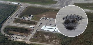 Ordenan cierre de Alligator Alcatraz, el centro de detención migratorio de Trump: jueza fija plazo de 60 días