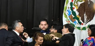 ‘Alito’ con valor ante un gallito Fernández Noroña, el corrido viral ¡Arre con la que barre!