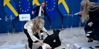 VIDEO: Se desmaya la nueva ministra de Salud sueca en plena conferencia