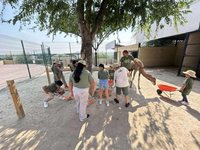 ZOO1