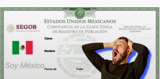 Por qué mi CURP no está certificada y cómo la corrijo