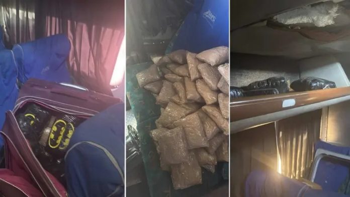 image - 2025-09-13T184707.879