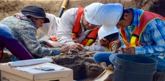 El INAH lucha por rescatar la riqueza arqueológica de Altamira