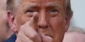 Trump Quiere que Especialistas Extranjeros Capaciten a estadounidenses en EUA y Luego se Vayan