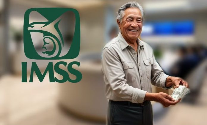 Y IMSS