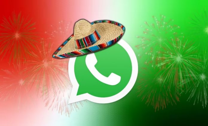 Y WHATSAPP