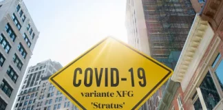 Variante XFG “Stratus”: qué se sabe de la nueva cepa de COVID‑19 que crece rápido en Estados Unidos