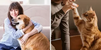 ¿Son más felices las personas que tienen perros que las que tienen gatos? Esto dice la ciencia