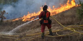 Nuevos incendios forestales en España: bomberos combaten fuego en Galicia