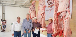 Consolida gobierno municipal el éxito del programa “Novillo gordo” con la segunda etapa de evaluación y subasta