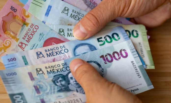 Y DIVISAS