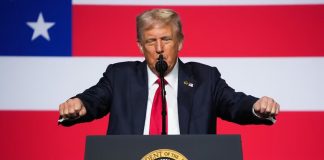 Gobierno de Trump cancela cientos de proyectos de energía renovable en estados demócratas