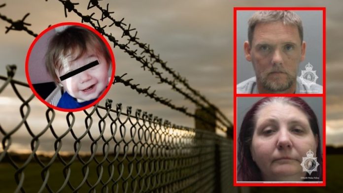 image - 2025-10-04T194930.523