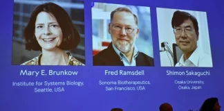 Brunkow, Ramsdell y Sakaguchi ganan Nobel de Medicina 2025 por descubrimientos sobre sistema inmunitario